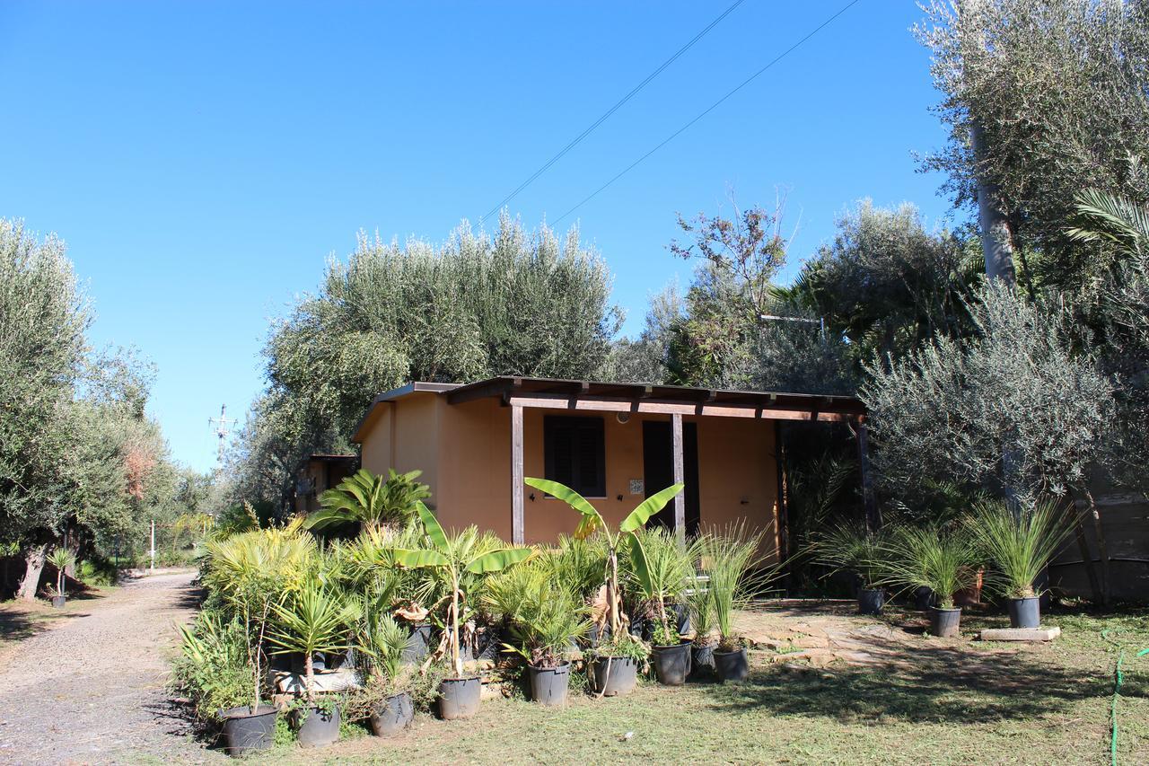 Residence Serrone Santa Maria di Castellabate Dış mekan fotoğraf