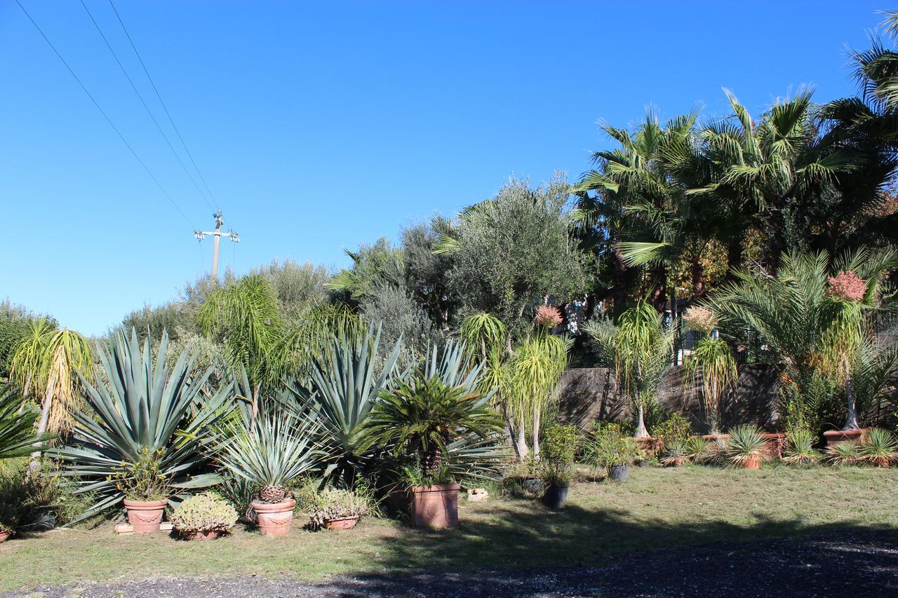 Residence Serrone Santa Maria di Castellabate Dış mekan fotoğraf