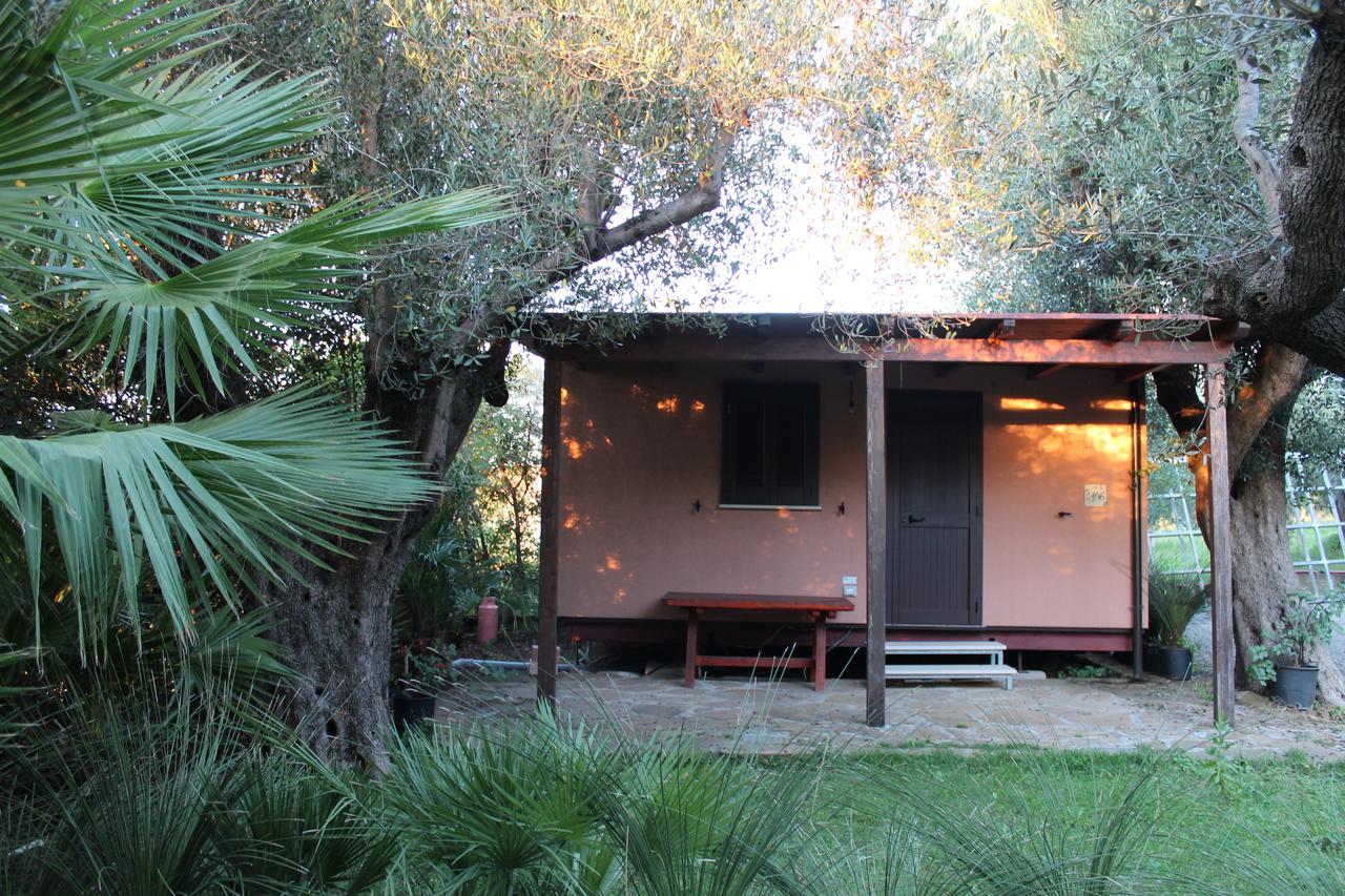 Residence Serrone Santa Maria di Castellabate Dış mekan fotoğraf