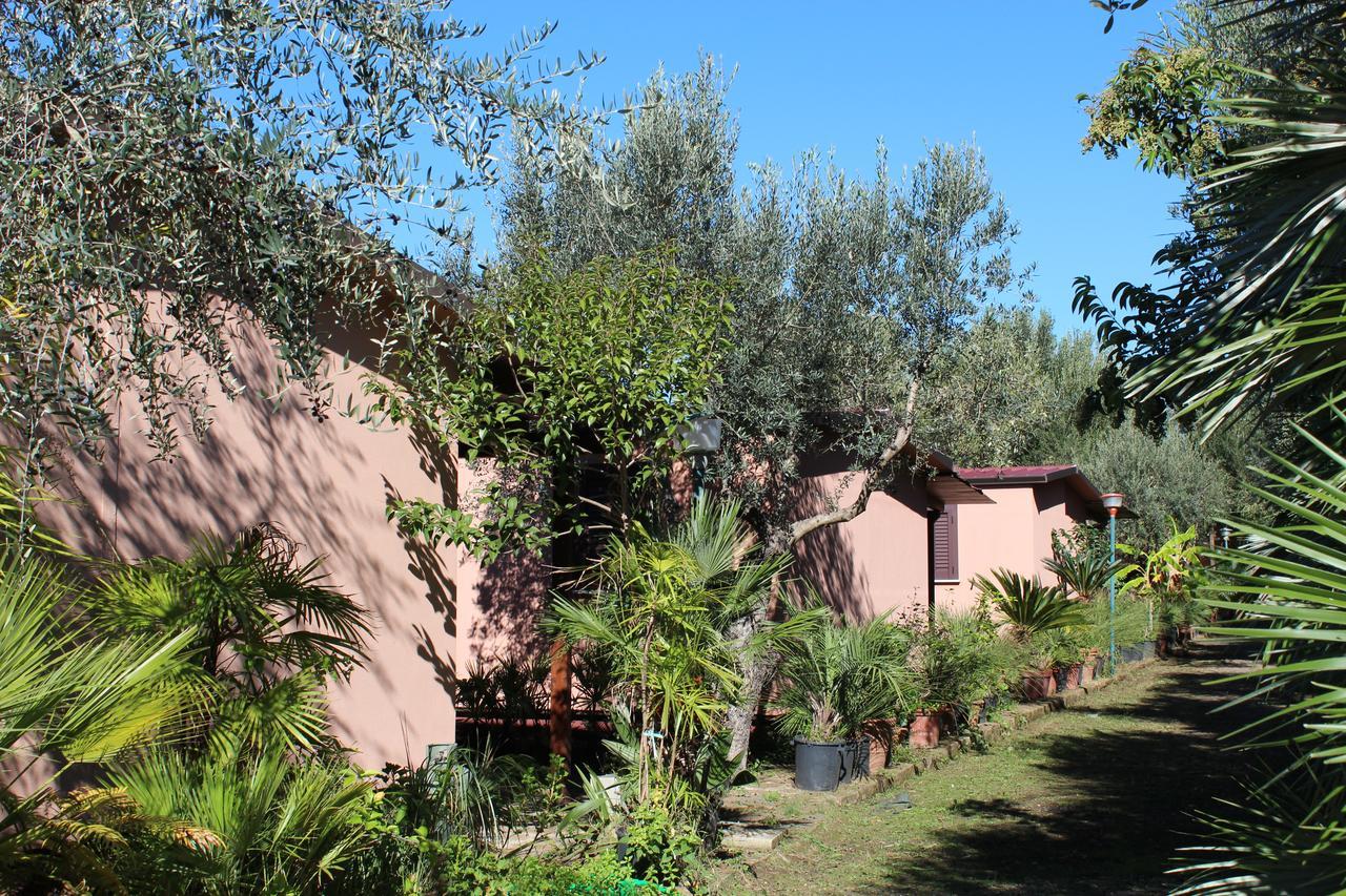 Residence Serrone Santa Maria di Castellabate Dış mekan fotoğraf